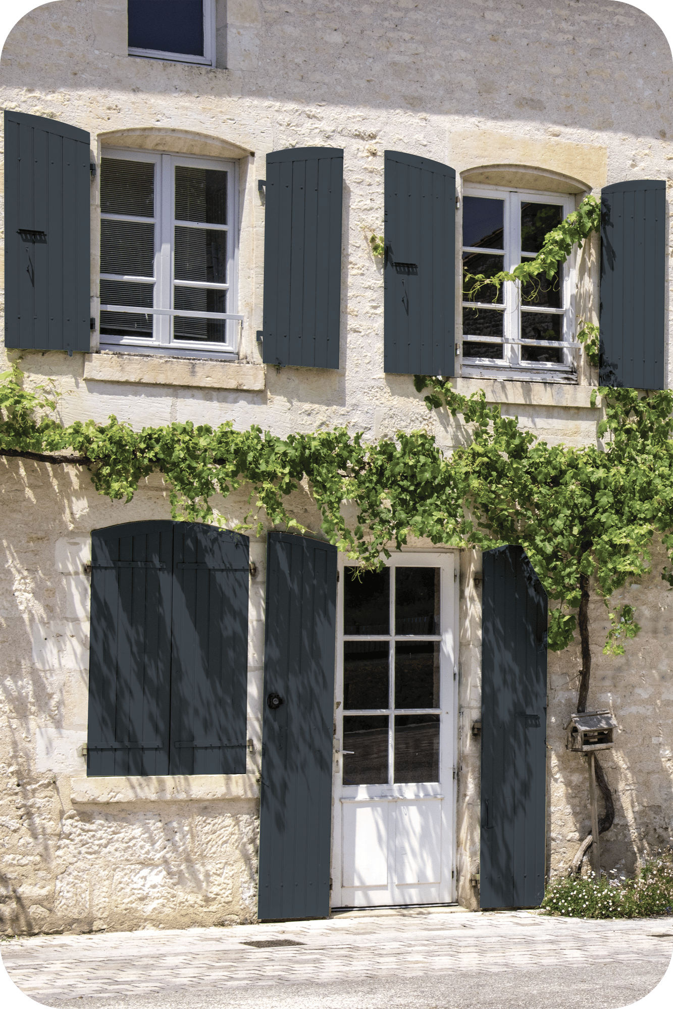 adobestock_288297588_peinture_bois